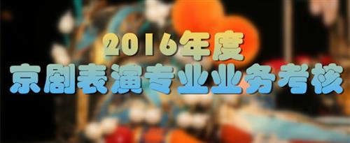 操逼网站观看的视频网站国家京剧院2016年度京剧表演专业业务考...